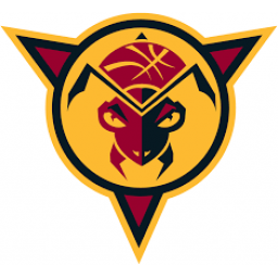 诺布尔斯维尔爆炸